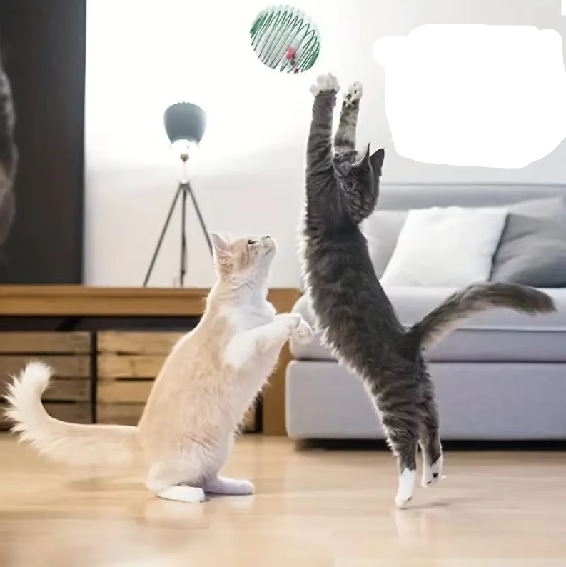 Mice In Spiral Cage - Prey Game For Cats