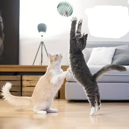 Mice In Spiral Cage - Prey Game For Cats