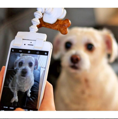 Pet Selfie Stick With Treat Holder
