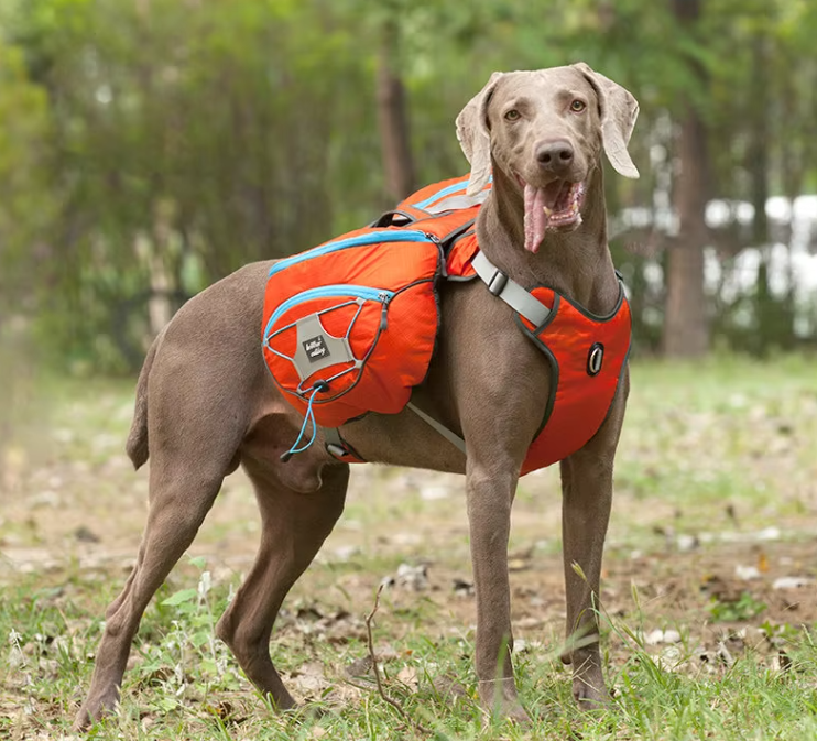 Dog Hiking Rucksack With Waterproof Pockets - Portable Dog Carrier For Outdoor Activities