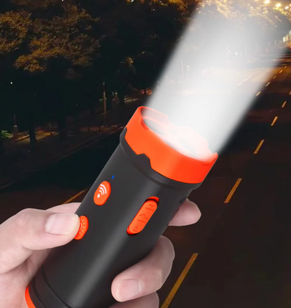 Dog Training Device With Light And Sound Function