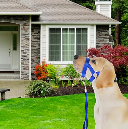 Adjustable Dog Harness With Lead - Comfortable Halter For Small And Medium-sized Dogs