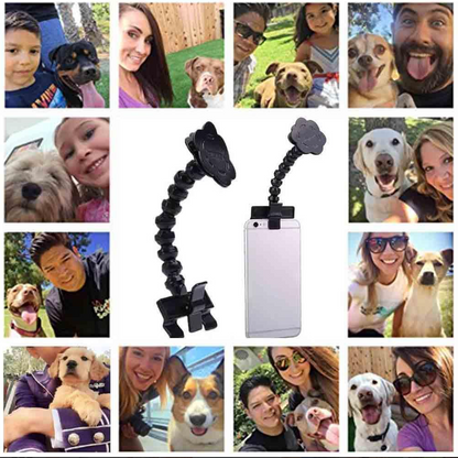 Pet Selfie Stick With Treat Holder