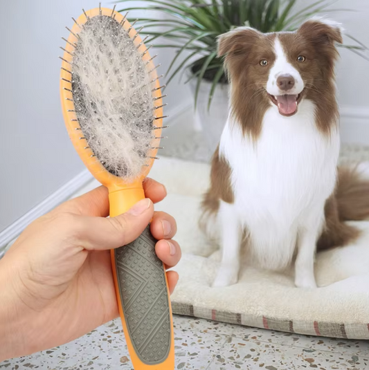 Double - Sided Pet Brush - Gentle Effective Coat Care For Dogs Cats