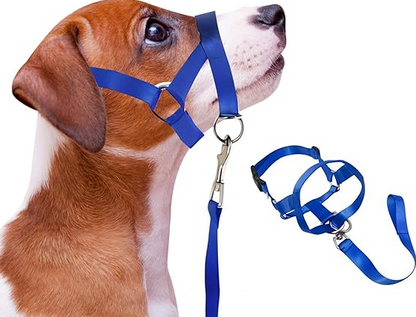 Adjustable Dog Harness With Lead - Comfortable Halter For Small And Medium-sized Dogs