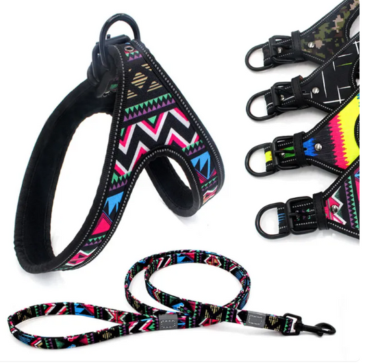 Colorful Dog Harness With Leash - Comfortable And Adjustable For All Types Of Dogs
