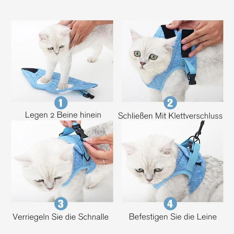 Cat Harness With Lead