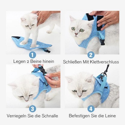 Cat Harness With Lead