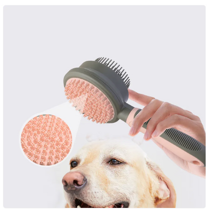 Cat Brush For Coat Care - Double - Sided Brush Head For Detangling