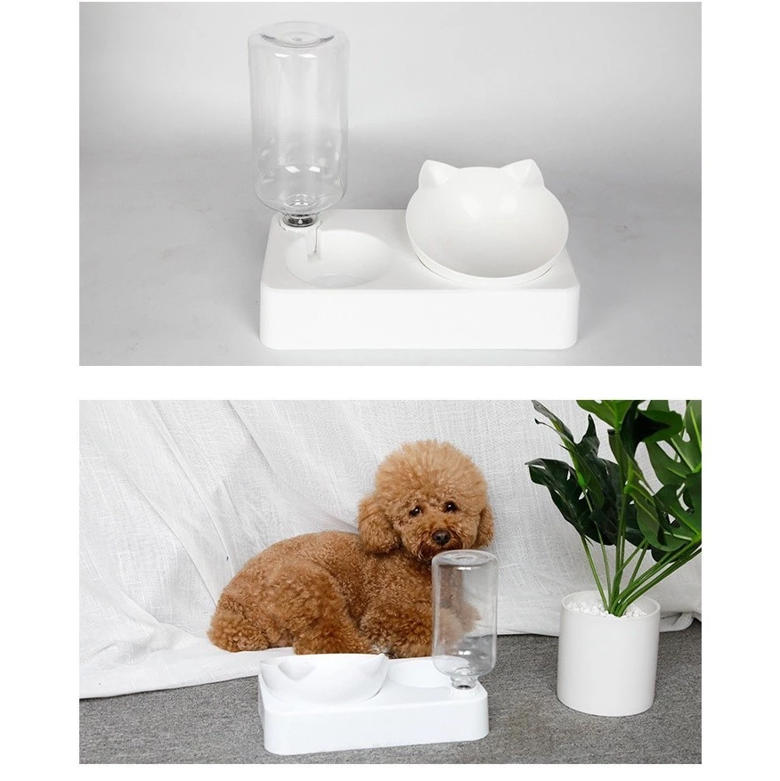 Cat Water And Food Dispenser Set