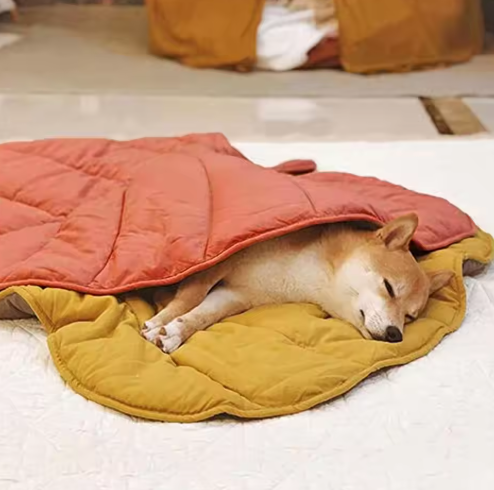 Double-Sided Pet Mat