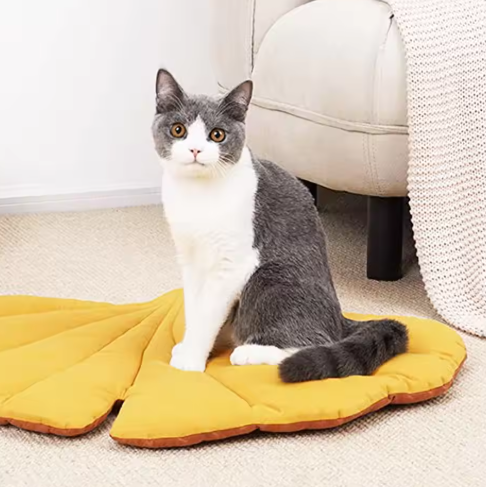 Double-Sided Pet Mat