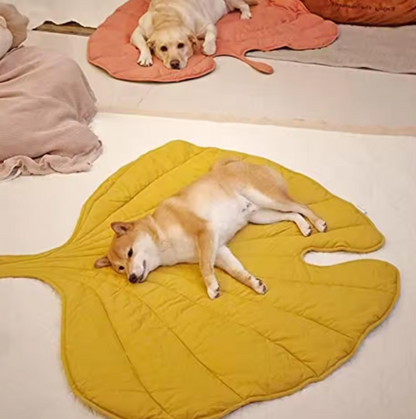 Double-Sided Pet Mat