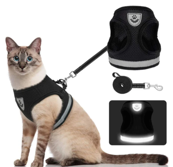 Cat Harness with Leash