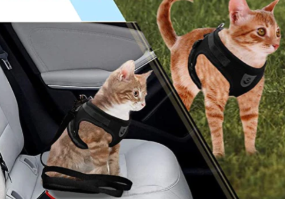 Cat Harness with Leash