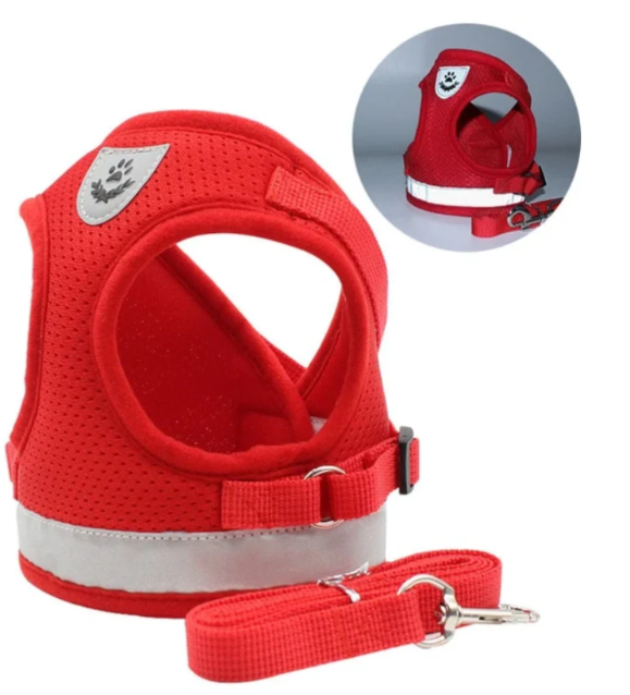 Cat Harness with Leash