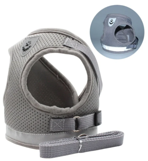 Cat Harness with Leash