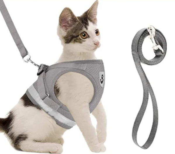 Cat Harness with Leash