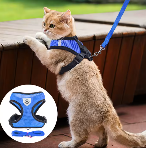 Cat Harness with Leash
