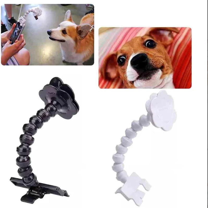 Pet Selfie Stick With Treat Holder