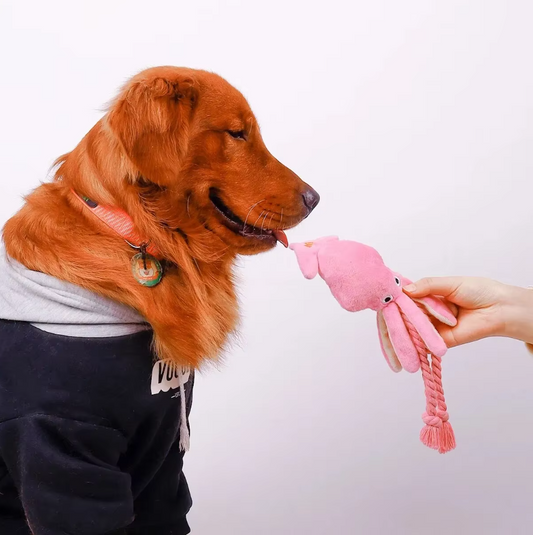 Plush Squid - Interactive Chew Toy For Dogs