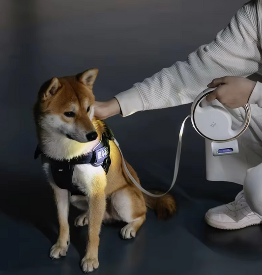 Dog Leash With Led Light And Retractable Mechanism For Safe Walking