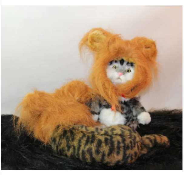 Lion 's Mane For Cats With Ears For Dressing Up And Funny Photos