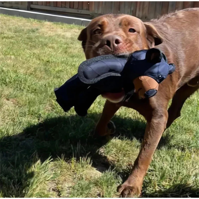 Robusty Durable Dog Plush Bear