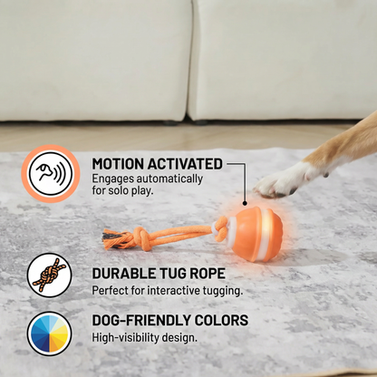 Durable Dog Play Ball with Motion Sensor and Tug Rope in Dog-Friendly Colours