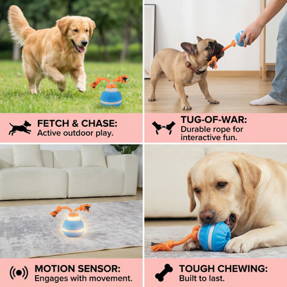 Durable Dog Play Ball with Motion Sensor and Tug Rope in Dog-Friendly Colours