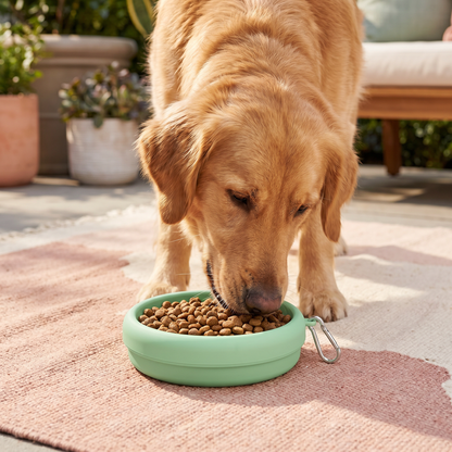 Multifunctional Pet Food Container – Portable 2-in-1 Food & Water Bowl for On-the-Go
