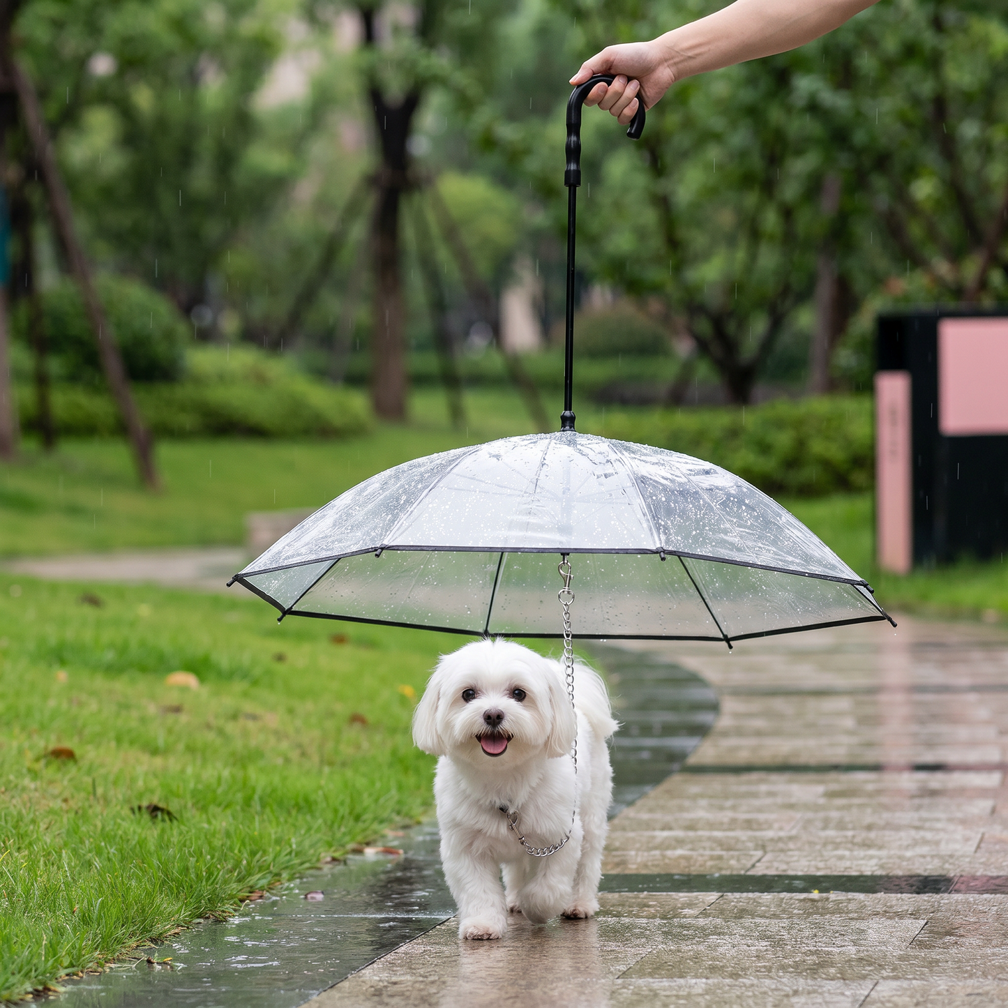 Transparent Dog Umbrella with Leash for Small Dogs