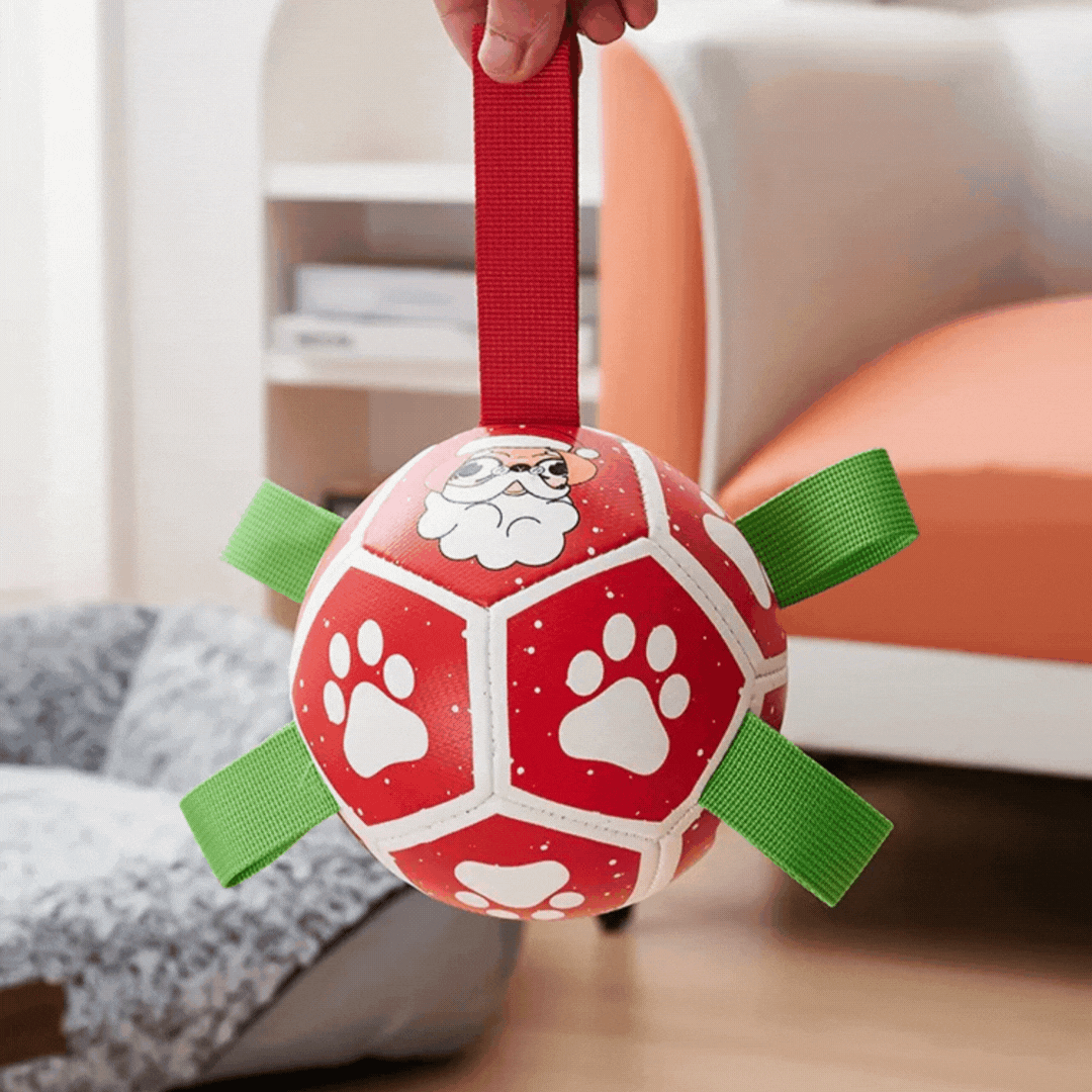 Interactive Ball - Shaped Dog Toy - with Nylon Rope and Handles