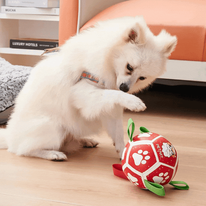 Interactive Ball - Shaped Dog Toy - with Nylon Rope and Handles