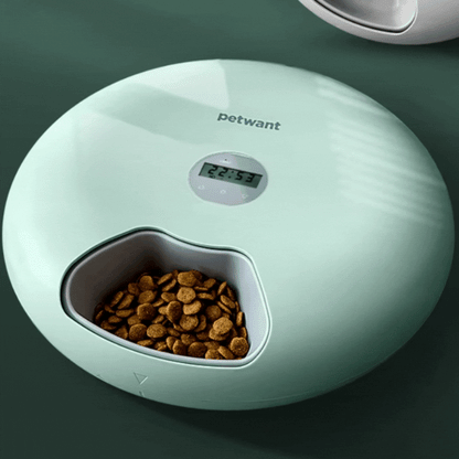 Automatic Pet Food Bowl - Digital Food Dispenser In Different Colours