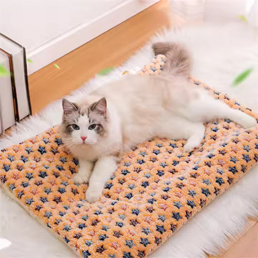 Luxurious Pet Blanket