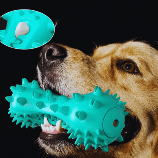 Sound - Activated Dog Toy - Spikes Chew Toy for Dogs