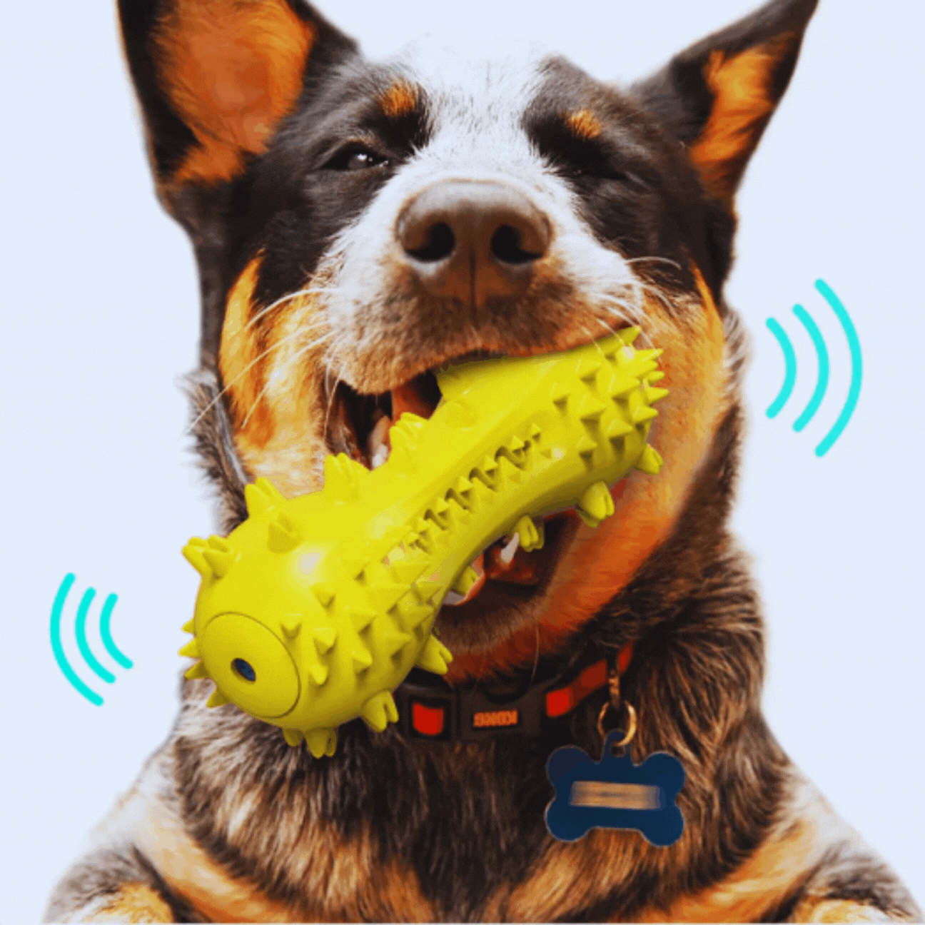 Sound - Activated Dog Toy - Spikes Chew Toy for Dogs