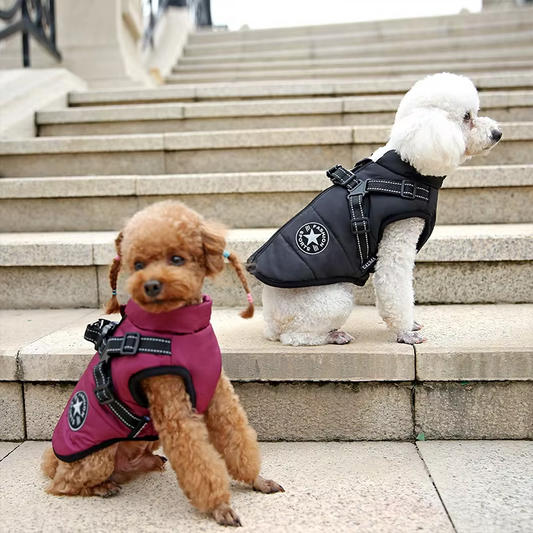 Wind and Waterproof Dog Jacket with Integrated Harness