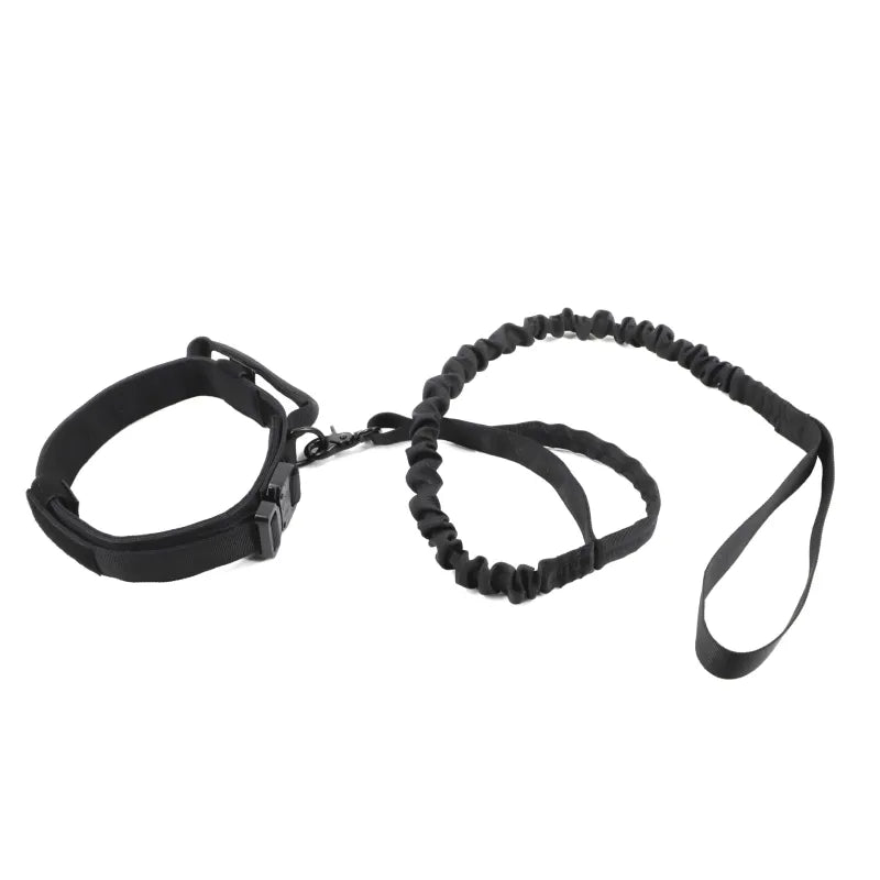 Adjustable Nylon Dog Collar With Robust Click Fastener