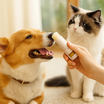 Nourishing and protective ointment stick for paws and nose