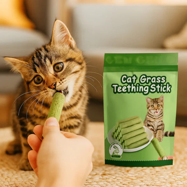 Cat grass sticks for better digestion and healthy teeth