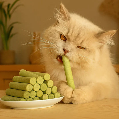 Cat grass sticks for better digestion and healthy teeth
