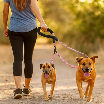 Anti-Tangle Double Dog Leash