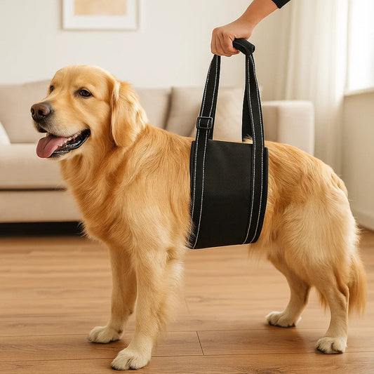 Dog Support Harness - Adjustable Rehabilitation Belt
