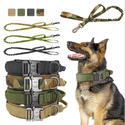 Adjustable Nylon Dog Collar With Robust Click Fastener
