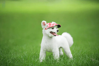 Fashionable Round Dog Cap