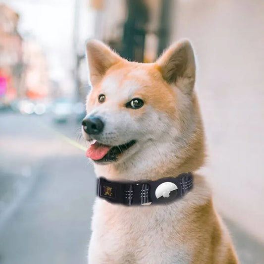 Adjustable Dog Collar With Reflective Stripes - Available In Different Colours