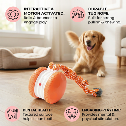 Interactive & Durable Dog Ball – Motion Toy with Tug Rope in Dog Colours