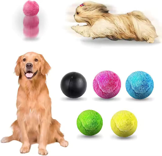 Self-Rolling Dog Toy